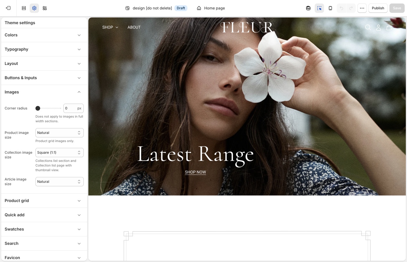 Beyond Images in Theme settings