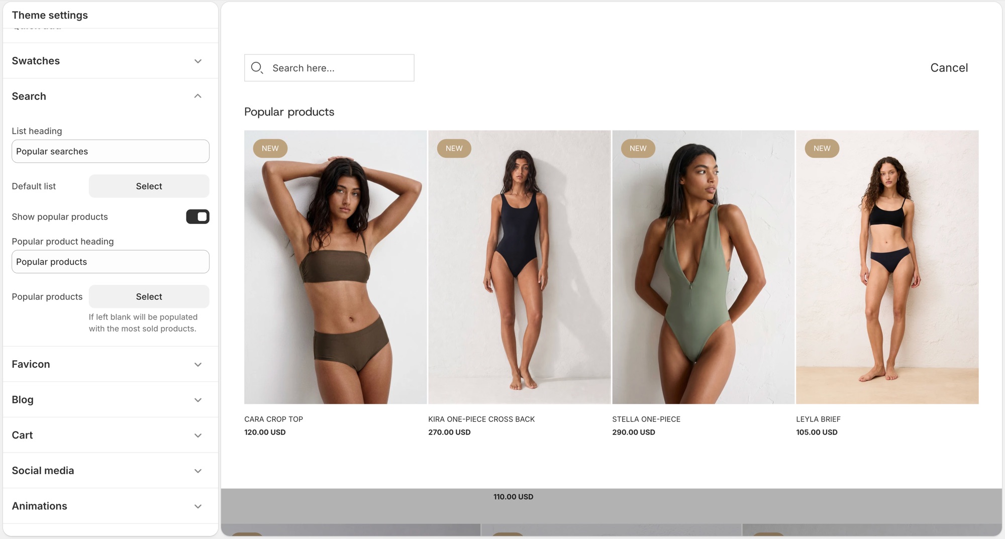 Blockshop Search in Theme settings
